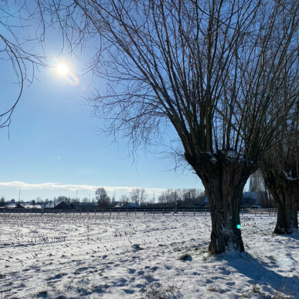 Lunchwandeling in de mooiste kouter van Aalst
