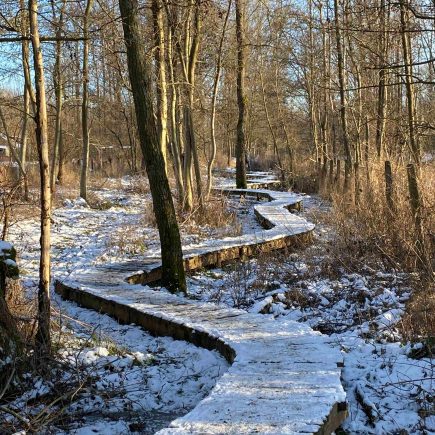 Wellemeersen wandeling
