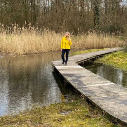 Wandeling in Somergembos en Kluisbos
