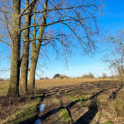 Galgenveld wandelroute
