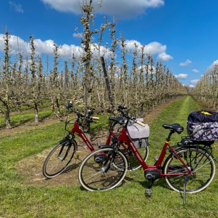 Haspengouw per fiets ontdekken