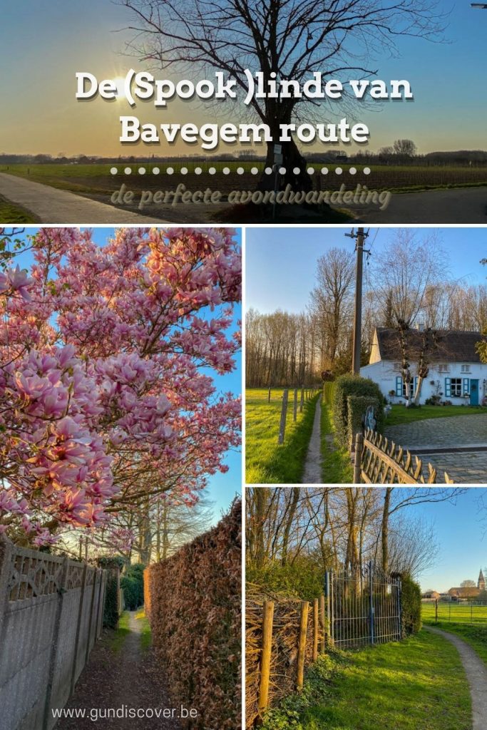 De linde van Bavegem wandeling