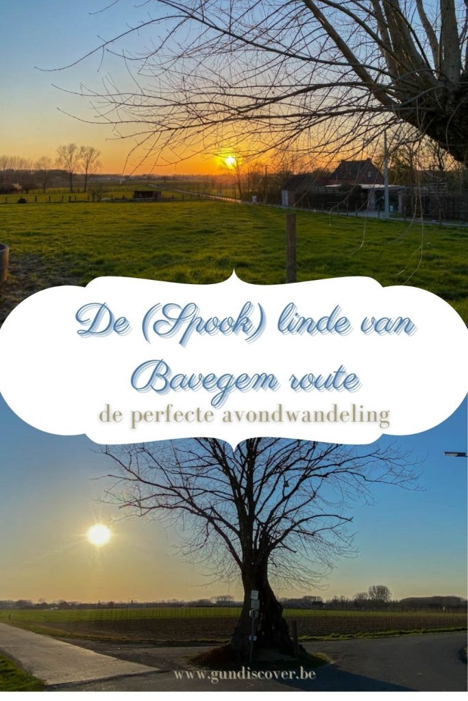 De linde van Bavegem wandeling