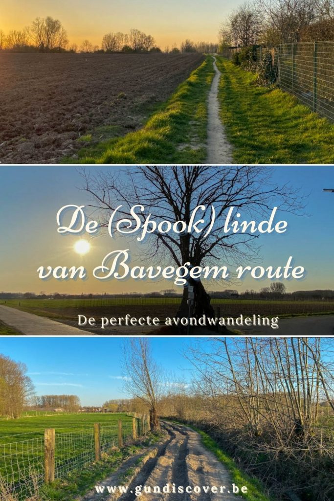 De linde van Bavegem wandeling