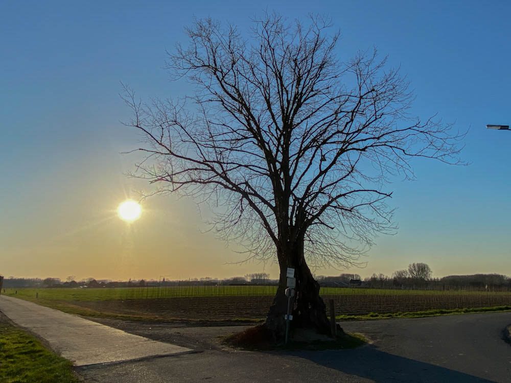 Linde van Bavegem route