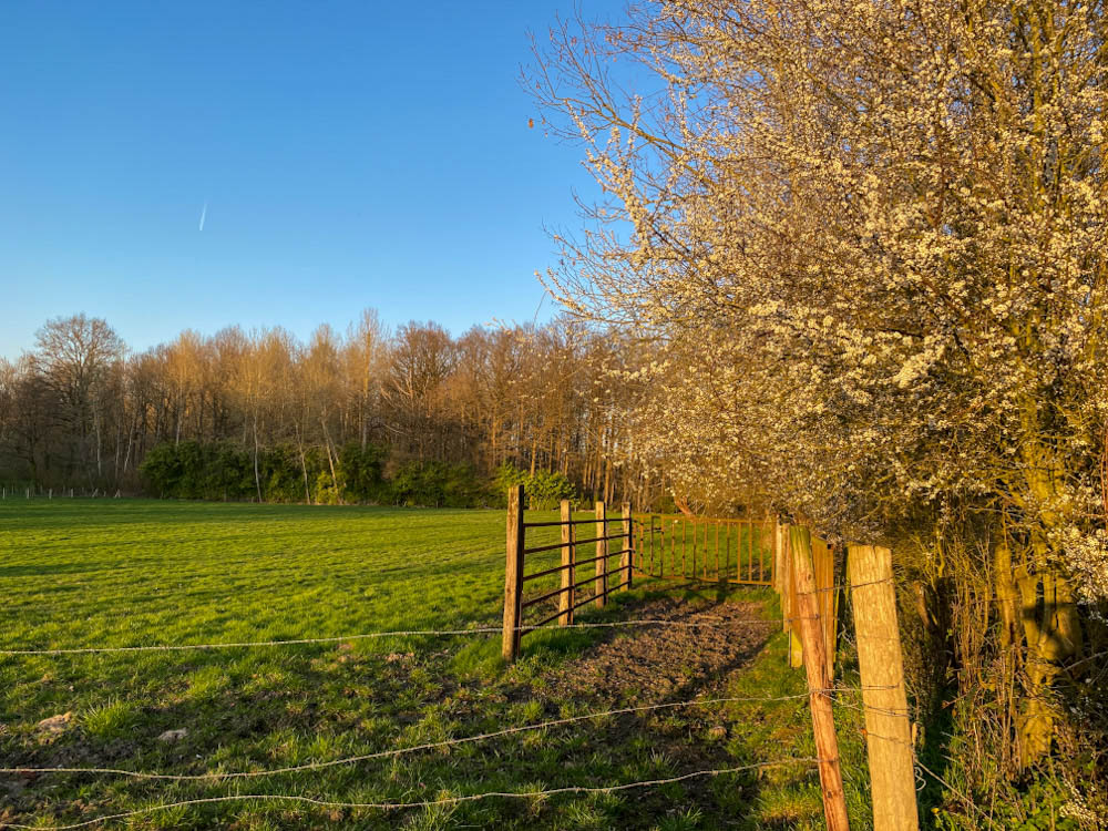 Linde van Bavegem route