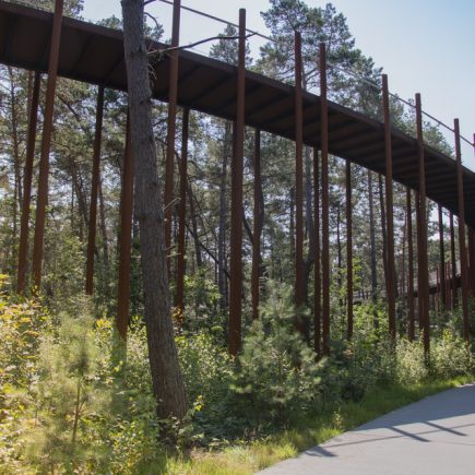 Fietsen door de bomen