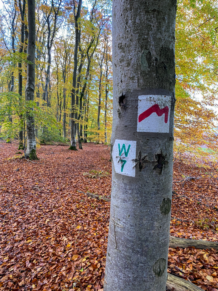 Mullerthal trail