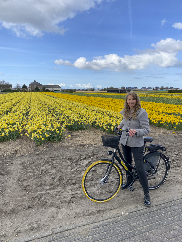 Tulip bicycle tour