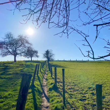Zwijnenbergwandeling