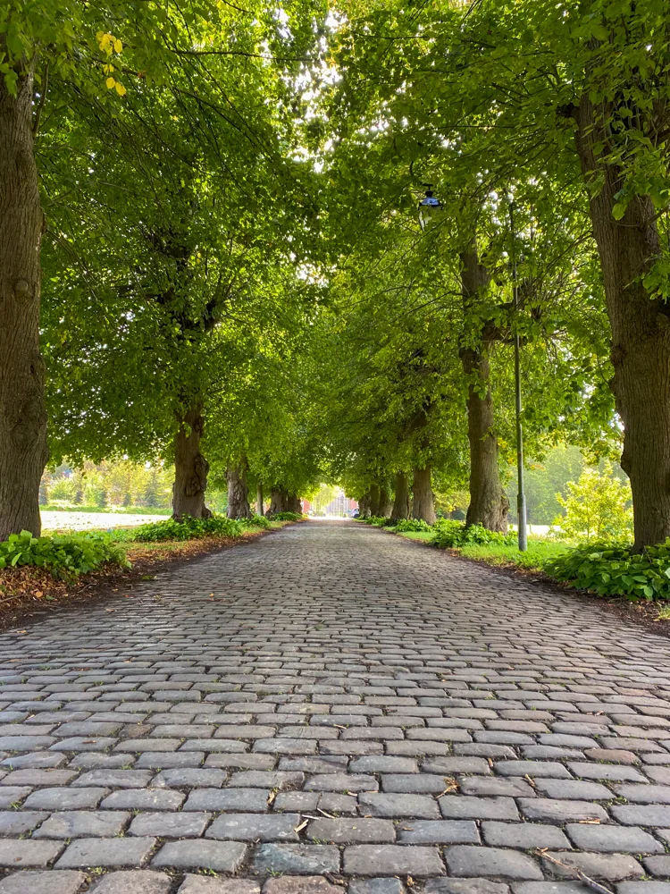 Kasteel van Ooidonk