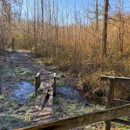 Kluizenbos wandelroute