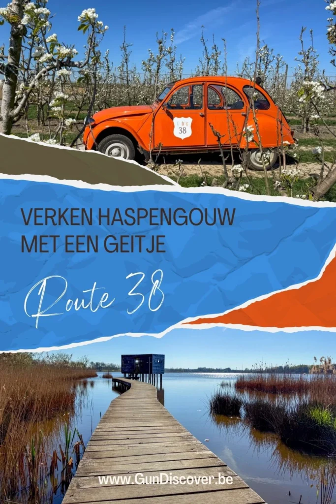 Verken Haspengouw met een geitje