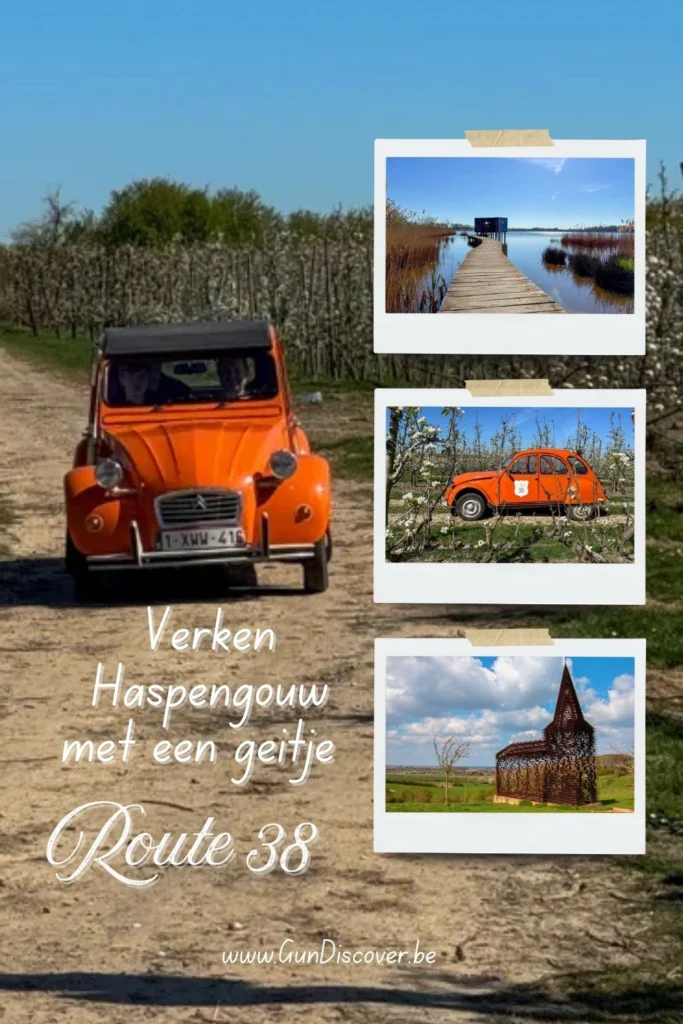 Verken Haspengouw met een geitje