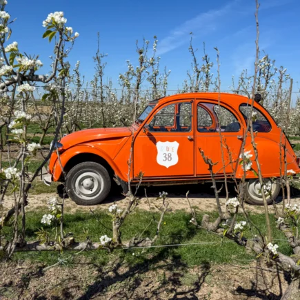 Verken Haspengouw met een geitje