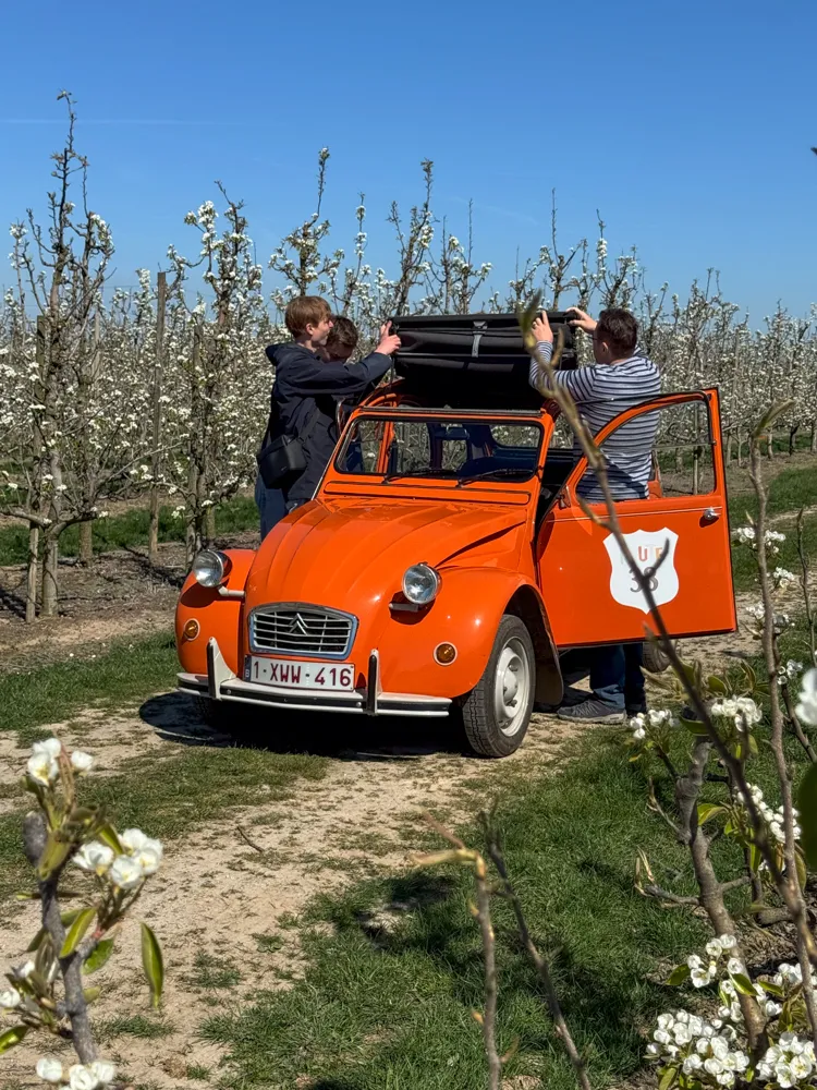 Verken Haspengouw met een geitje