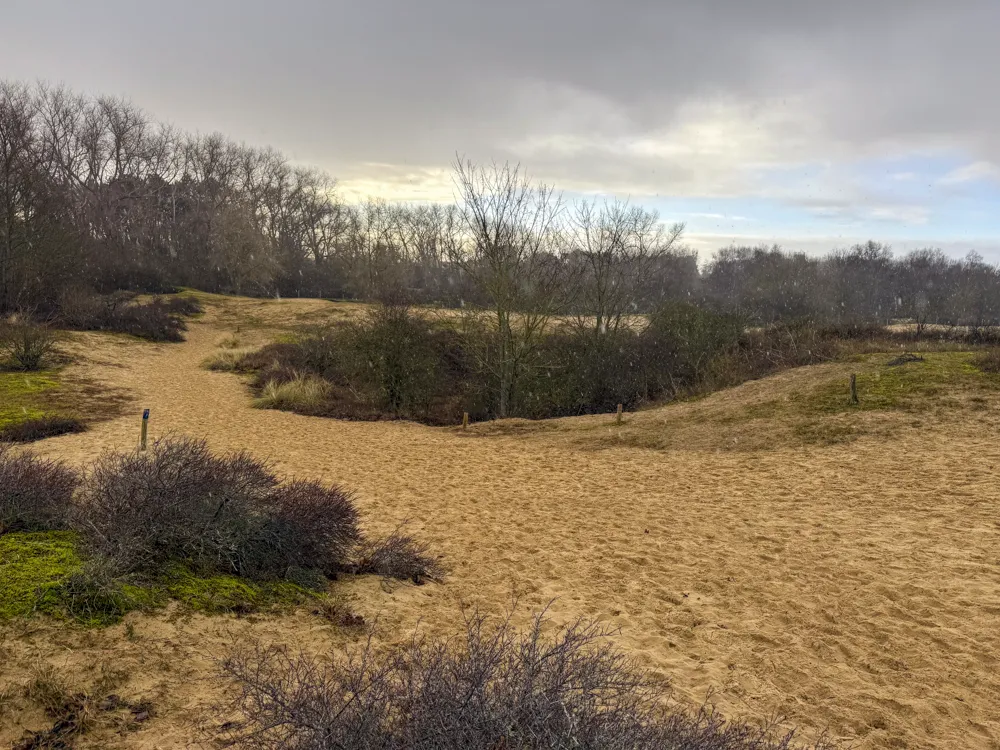 Wandelen in de Panne