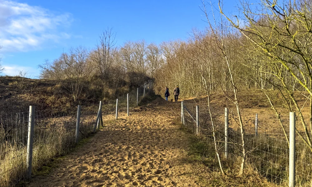 Start & aankomst: Sporthal Den Oosthoek in De Panne (Er is een ruime parking) Afstand: ± 7 km Duur: ongeveer 1,5 à 2 uur (afhankelijk van tempo en pauzes) Ondergrond: voornamelijk onverhard (zand en duinpaden) Tip: draag comfortabele wandelschoenen en neem water mee, zeker op warmere dagen. In de winter is het er vaak fris door de wind, maar net dan is de rust op zijn mooist. Bewegwijzering: via knooppunten 21 - 22 - 19 - 18 - 14 - 15 - 6 - 7 - 9 - 13 - 12 - 20 - 21  Extra: Rond knooppunt 15 komt je een groot uitkijkplatform tegen. Ga zeker naar boven en laat je omver blazen door het fenomenale vergezicht. Honden: Je viervoeter is welkom.