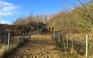 Start & aankomst: Sporthal Den Oosthoek in De Panne (Er is een ruime parking) Afstand: ± 7 km Duur: ongeveer 1,5 à 2 uur (afhankelijk van tempo en pauzes) Ondergrond: voornamelijk onverhard (zand en duinpaden) Tip: draag comfortabele wandelschoenen en neem water mee, zeker op warmere dagen. In de winter is het er vaak fris door de wind, maar net dan is de rust op zijn mooist. Bewegwijzering: via knooppunten 21 - 22 - 19 - 18 - 14 - 15 - 6 - 7 - 9 - 13 - 12 - 20 - 21  Extra: Rond knooppunt 15 komt je een groot uitkijkplatform tegen. Ga zeker naar boven en laat je omver blazen door het fenomenale vergezicht. Honden: Je viervoeter is welkom.