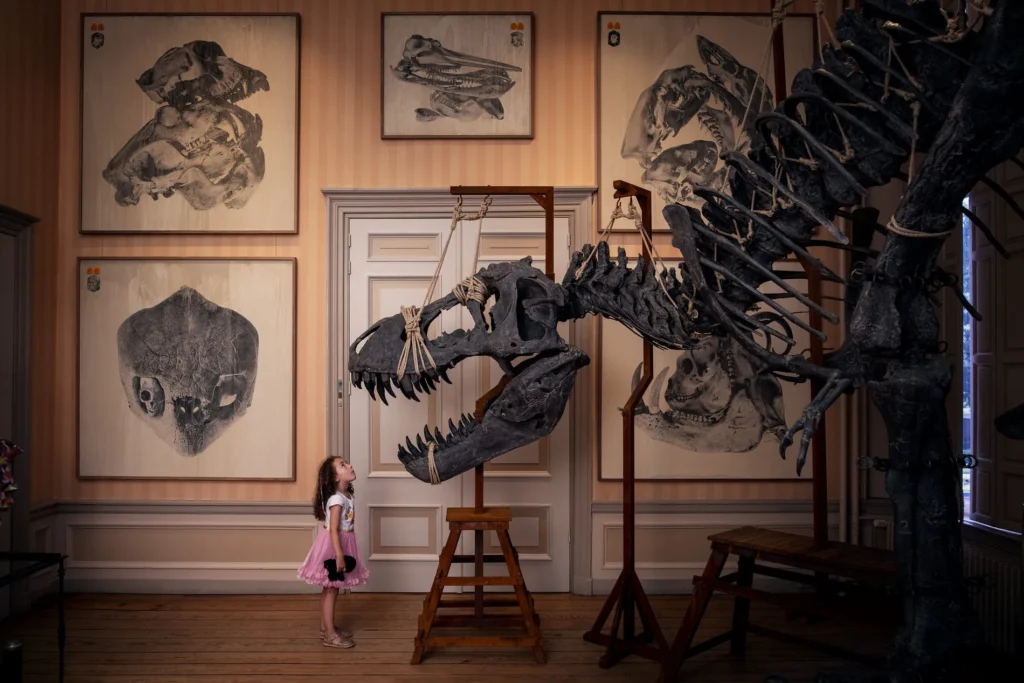 Art zoo Museum