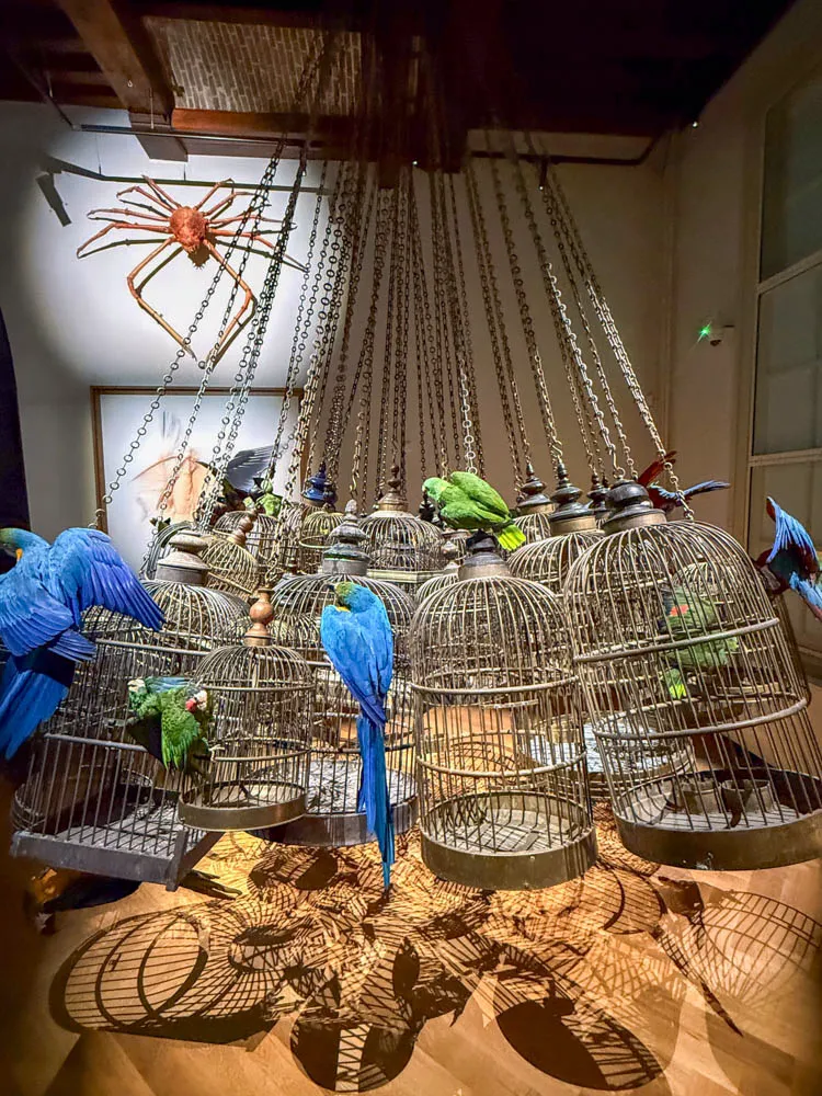 Art zoo museum