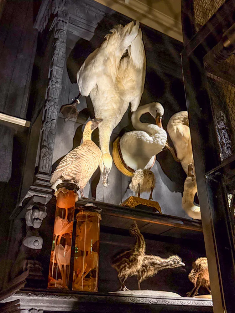 Art zoo museum