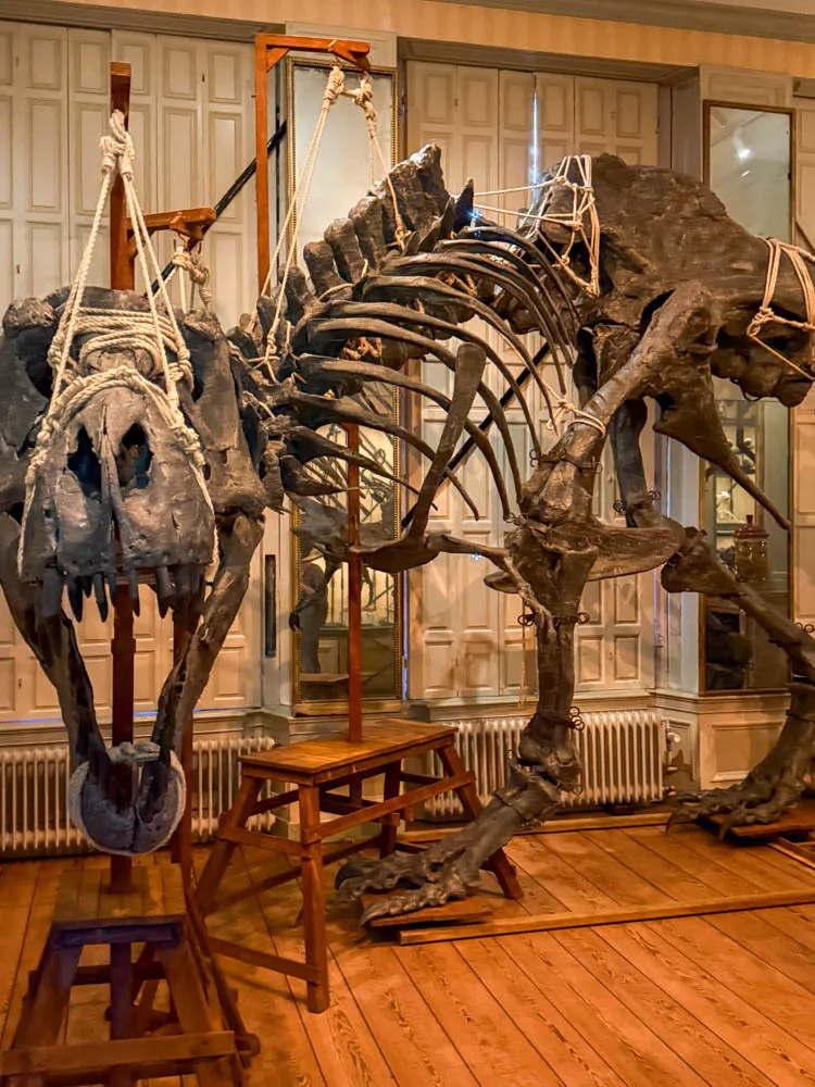 Art zoo museum