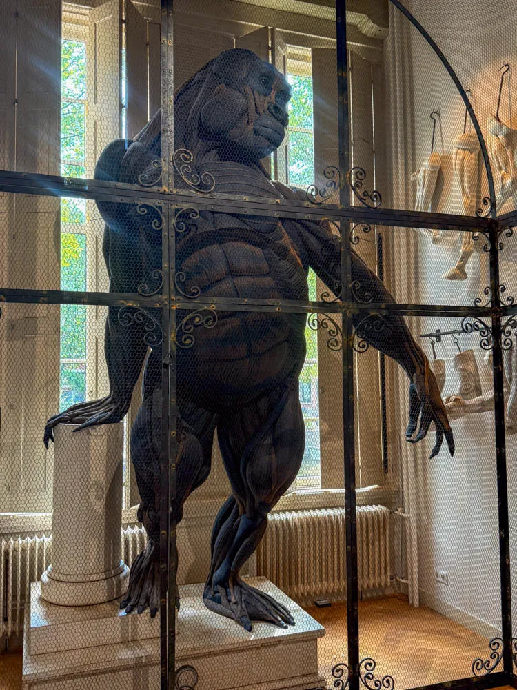 Art zoo museum