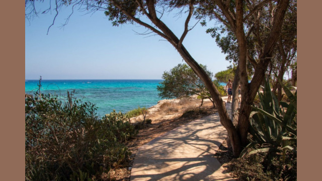 Nissi beach