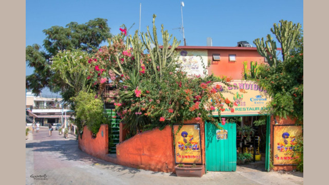 Ayia Napa