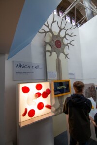 Natural History Museum London