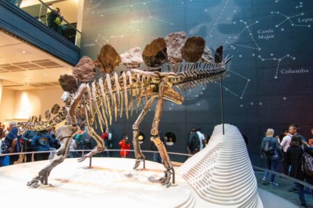 Natural History Museum London