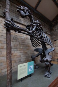 Natuurhistorisch museum