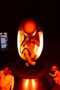 Natuurhistorisch museum