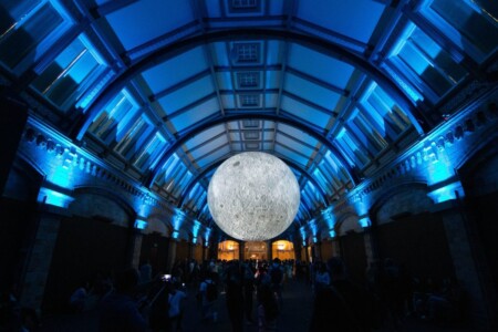 Natuurhistorisch museum