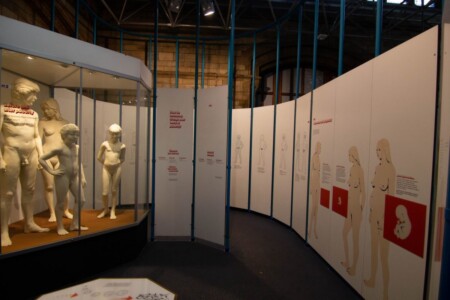 Natuurhistorisch museum
