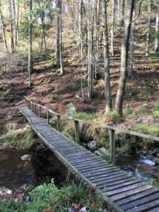 Wandeling Ardennen