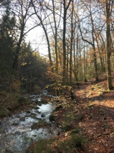 Wandeling Ardennen