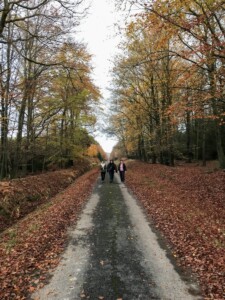 Wandeling Ardennen