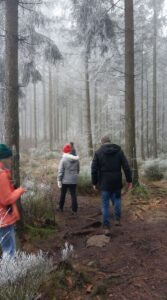 Wandeling Ardennen