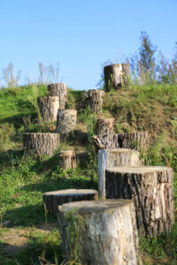 Heuvelpark