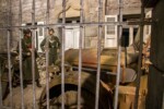 Overlord Museum