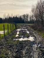 Brabantse Kouters Aalst