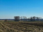 Galgenveld wandelroute