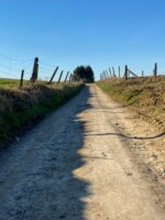 Galgenveld wandelroute