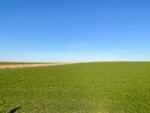 Galgenveld wandelroute