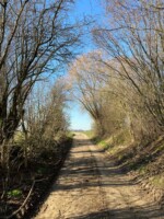 Galgenveld wandelroute