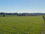 Galgenveld wandelroute