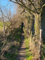 Galgenveld wandelroute