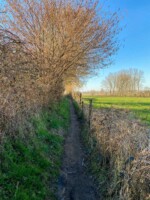 Galgenveld wandelroute